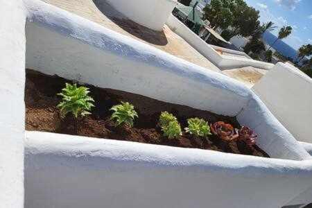 Fantastico Apartamento Con Terraza Y Vistas Al Mar Costa Teguise Eksteriør billede